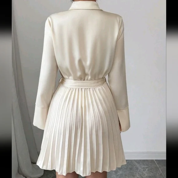 New Long Sleeve Shirt Dress With Pleated Hem Design, Commuting Elegant Stylish - Picture 4 of 4